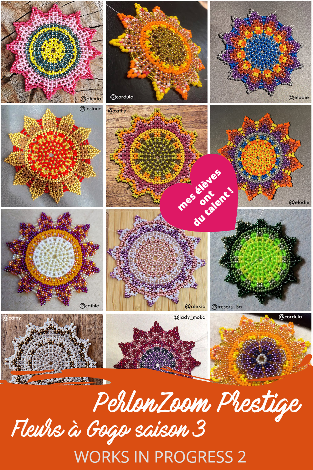 Fleurs à Gogo S3 - work in progress2