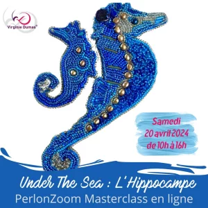 PerlonZoom - Under the sea : l’Hippocampe