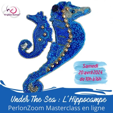 PerlonZoom - Under the sea : l’Hippocampe