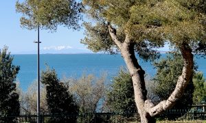 Le Printemps des Perles 2026 - Les Pyrénées